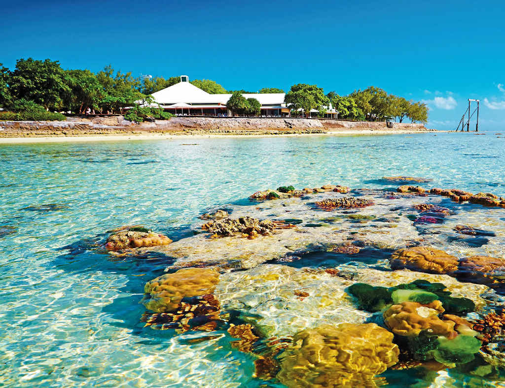 Reef off Heron Island - Courtesy of GAPDL Reef off Heron Island - Courtesy of GAPDL