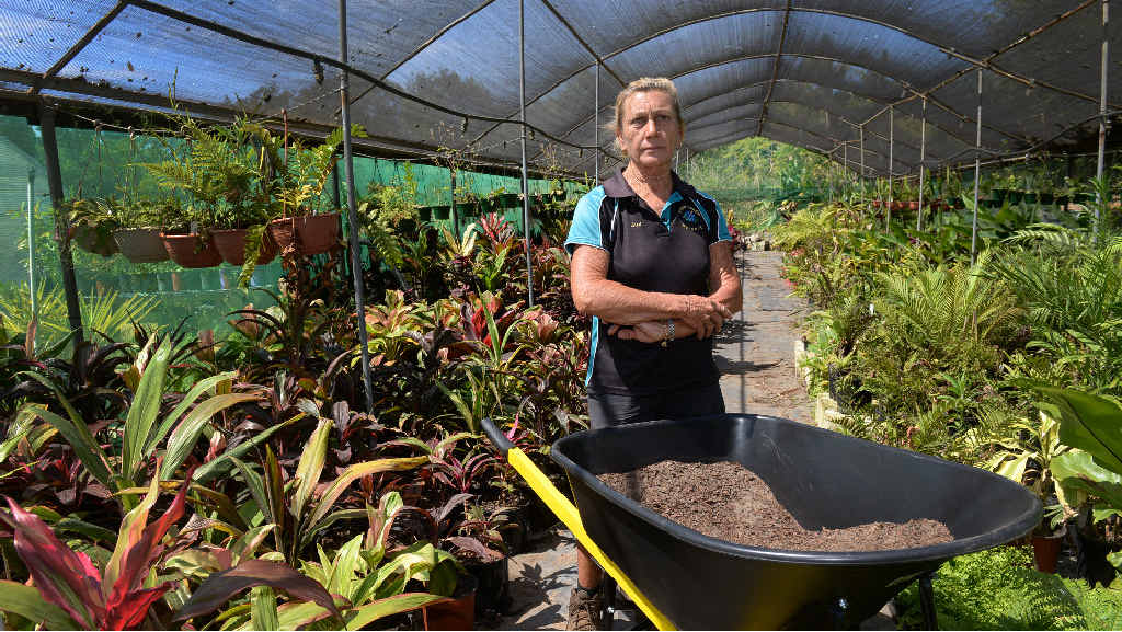 NOT ON: Sue Riley had to replace her wheelbarrow which was stolen from the Tropical Paradise Nursery. NOT ON: Sue Riley had to replace her wheelbarrow which was stolen from the Tropical Paradise Nursery.