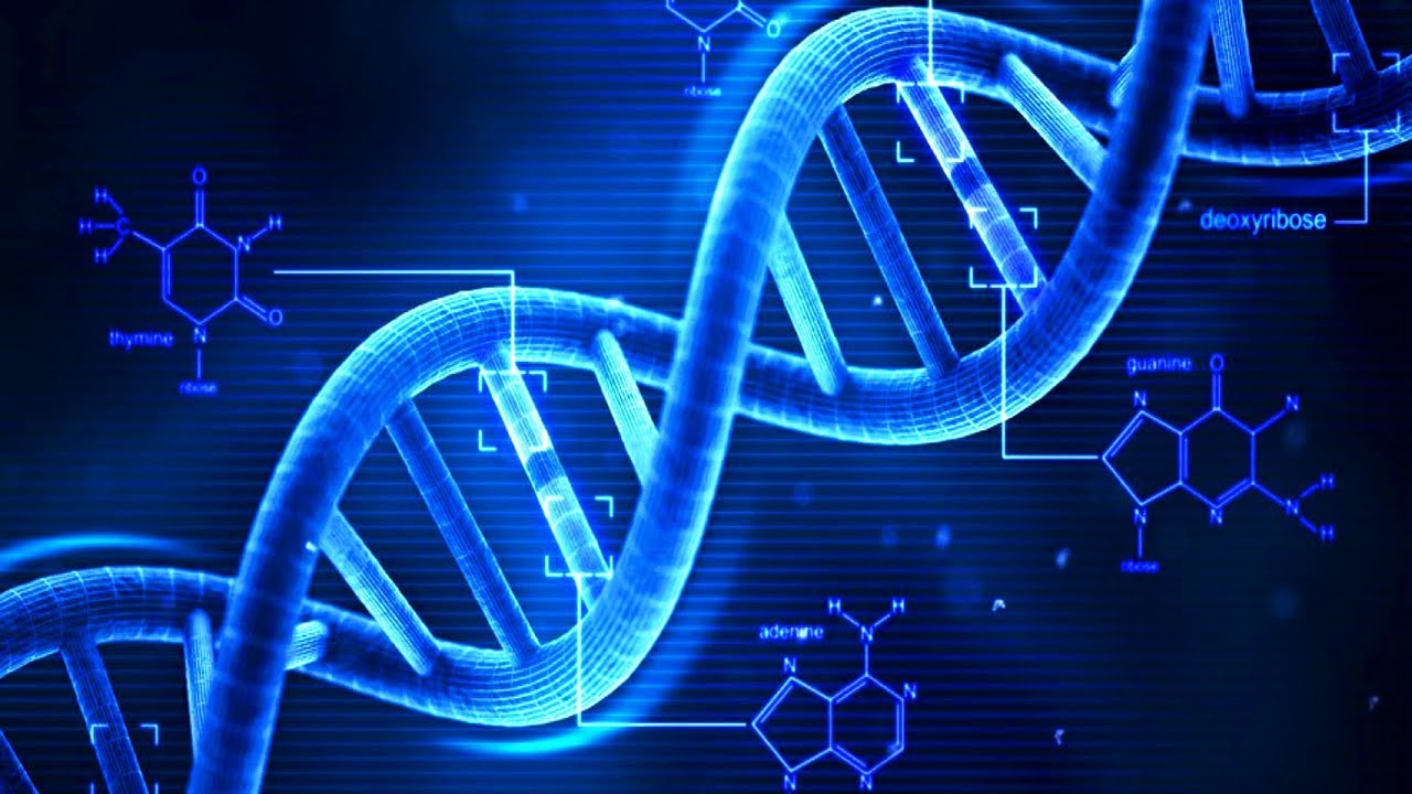 A forensic swab of the lip of the can provided a sample of DNA which was eventually matched to Weatherall, the court heard. A forensic swab of the lip of the can provided a sample of DNA which was eventually matched to Weatherall, the court heard.