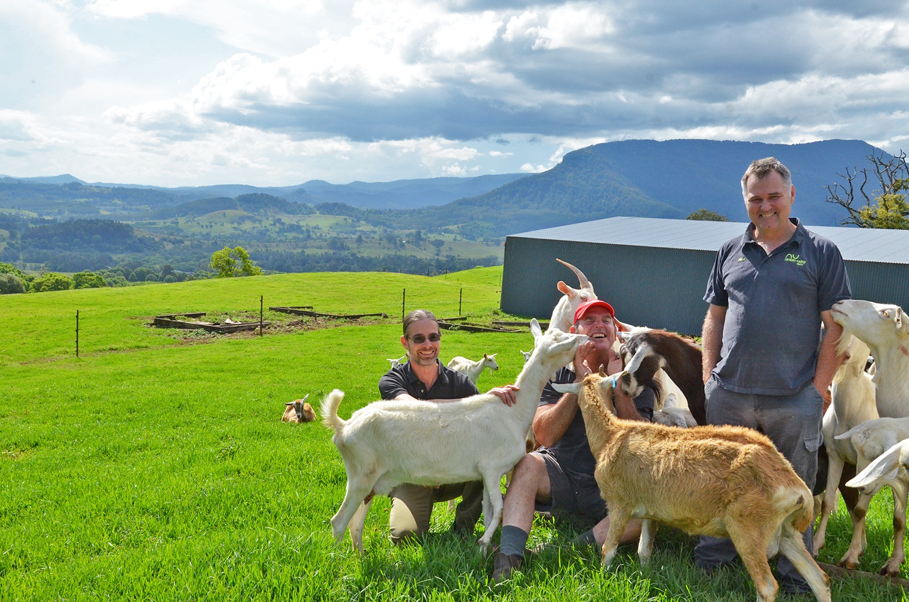 WASTE NOT: Goats may be part of the answer to energising local industries. WASTE NOT: Goats may be part of the answer to energising local industries.
