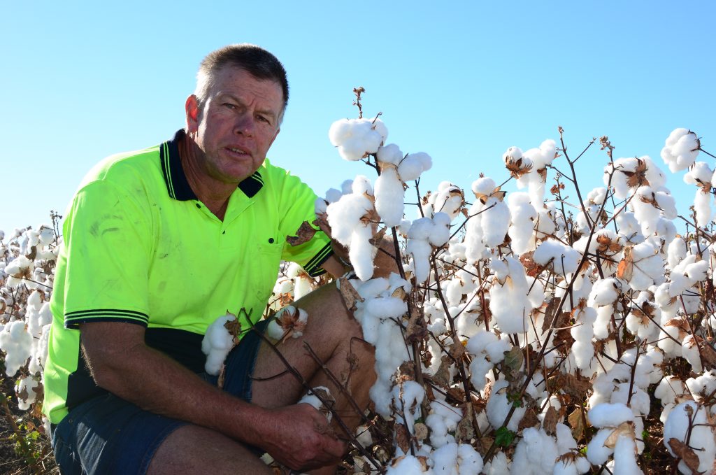 Cotton Australia director Stuart Armitage wants the mining industry to understand the risks of sinking land. Photo Will Hunter / Dalby Herald Cotton Australia director Stuart Armitage wants the mining industry to understand the risks of sinking land. Photo Will Hunter / Dalby Herald