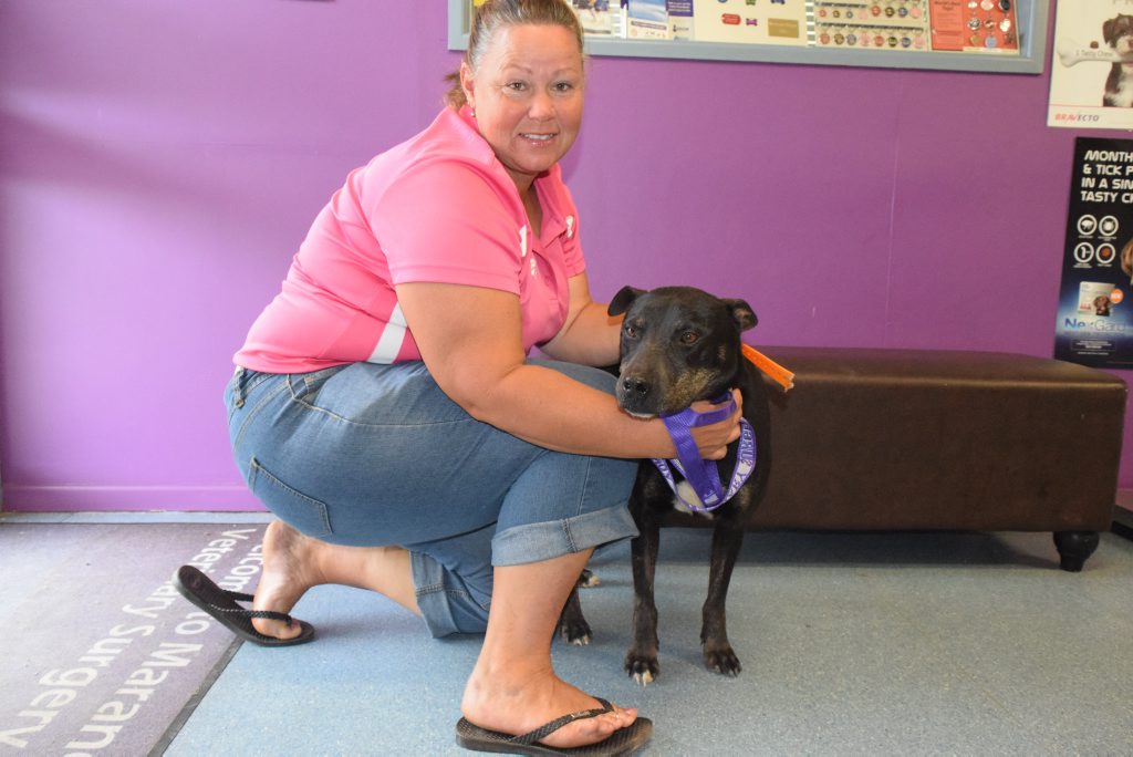 HERO DOG: Vince is one brave pooch after defending his owner Lexie Lewington from a six-foot brown snake. HERO DOG: Vince is one brave pooch after defending his owner Lexie Lewington from a six-foot brown snake.