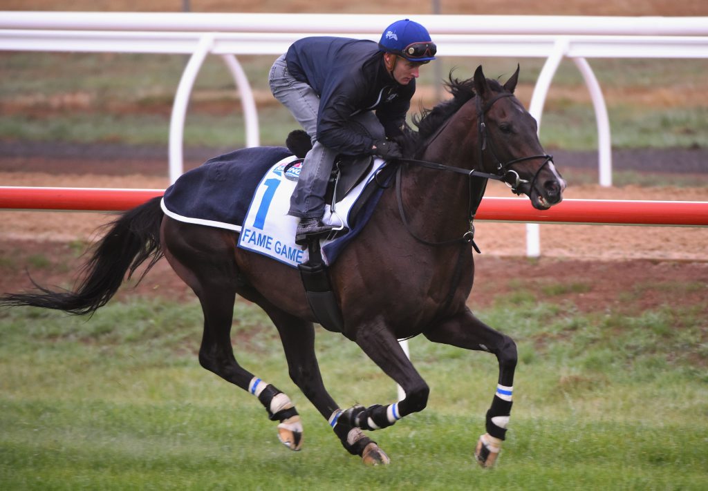 MELBOURNE, AUSTRALIA - OCTOBER 12: Zac Purton riding Fame Game from Japan during a trackwork session at Werribee Racecourse on October 12, 2015 in Melbourne, Australia. Fame Game is one of the favourites for Saturdays Group One Caulfield Cup. (Photo by Vince Caligiuri/Getty Images) MELBOURNE, AUSTRALIA - OCTOBER 12: Zac Purton riding Fame Game from Japan during a trackwork session at Werribee Racecourse on October 12, 2015 in Melbourne, Australia. Fame Game is one of the favourites for Saturdays Group One Caulfield Cup. (Photo by Vince Caligiuri/Getty Images)