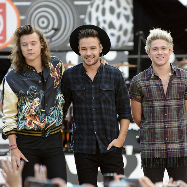 One Direction members Harry Styles, Liam Payne and Niall Horan. One Direction members Harry Styles, Liam Payne and Niall Horan.