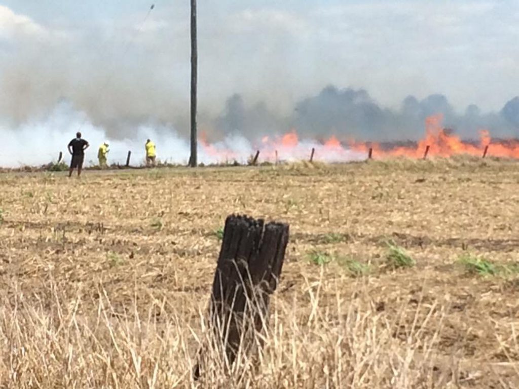 EMERGENCY: Crews attending the scene of a large grass fire in North Bundaberg. Photo Michael Brown EMERGENCY: Crews attending the scene of a large grass fire in North Bundaberg. Photo Michael Brown