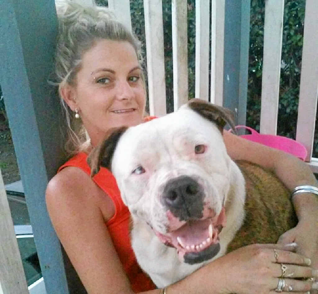 REUNITED: Angela Clark with Dukey, who was stolen from his yard in Bundaberg and dumped by a highway in Dalby. REUNITED: Angela Clark with Dukey, who was stolen from his yard in Bundaberg and dumped by a highway in Dalby.