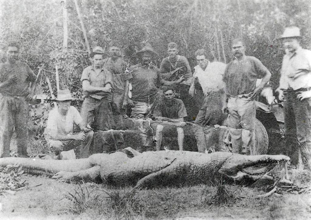 A group poses with the large crocodile that attacked two schoolgirls as they rode across Alligator Creek in March 1933. The men are (from left) Fred Murray, G. Gallagher, T. Biggs, Ted Zunker, Bill Adams, R. Pearce (sitting), P. Butterworth, Bill Schofield, Ted Rennels and Mr Patterson. A group poses with the large crocodile that attacked two schoolgirls as they rode across Alligator Creek in March 1933. The men are (from left) Fred Murray, G. Gallagher, T. Biggs, Ted Zunker, Bill Adams, R. Pearce (sitting), P. Butterworth, Bill Schofield, Ted Rennels and Mr Patterson.
