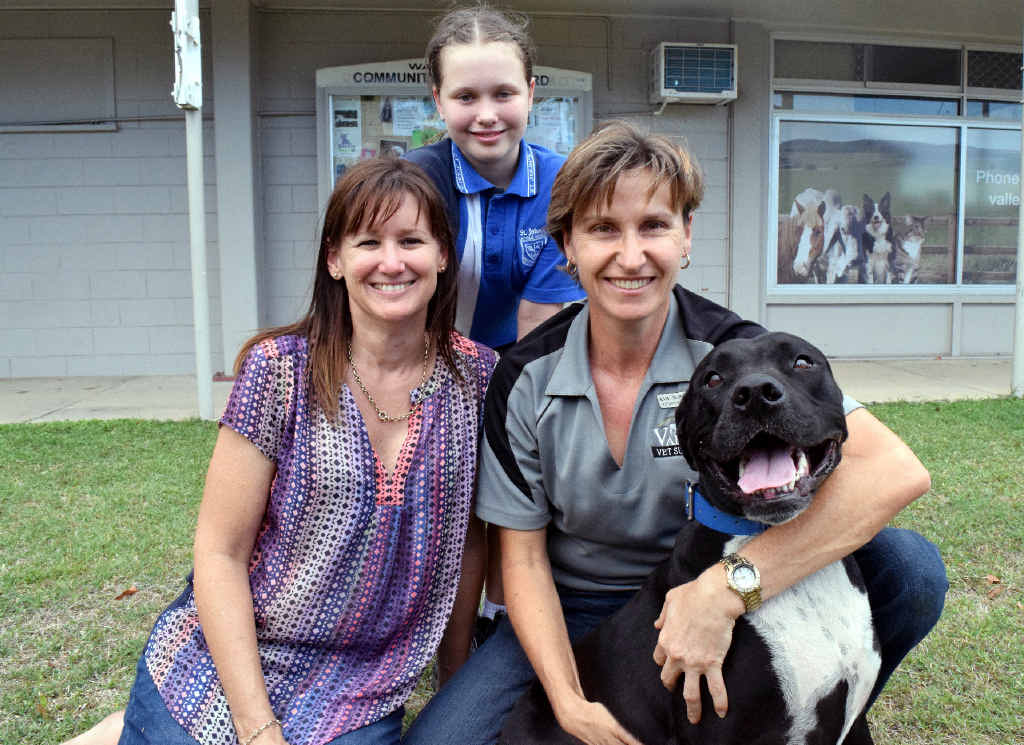 RECOVERED: Three-year-old Baz the pooch back to normal, and joins owner Louise Craig (left), daughter Tiana, 10, and veterinarian Kim McPherson for a happy snap. RECOVERED: Three-year-old Baz the pooch back to normal, and joins owner Louise Craig (left), daughter Tiana, 10, and veterinarian Kim McPherson for a happy snap.