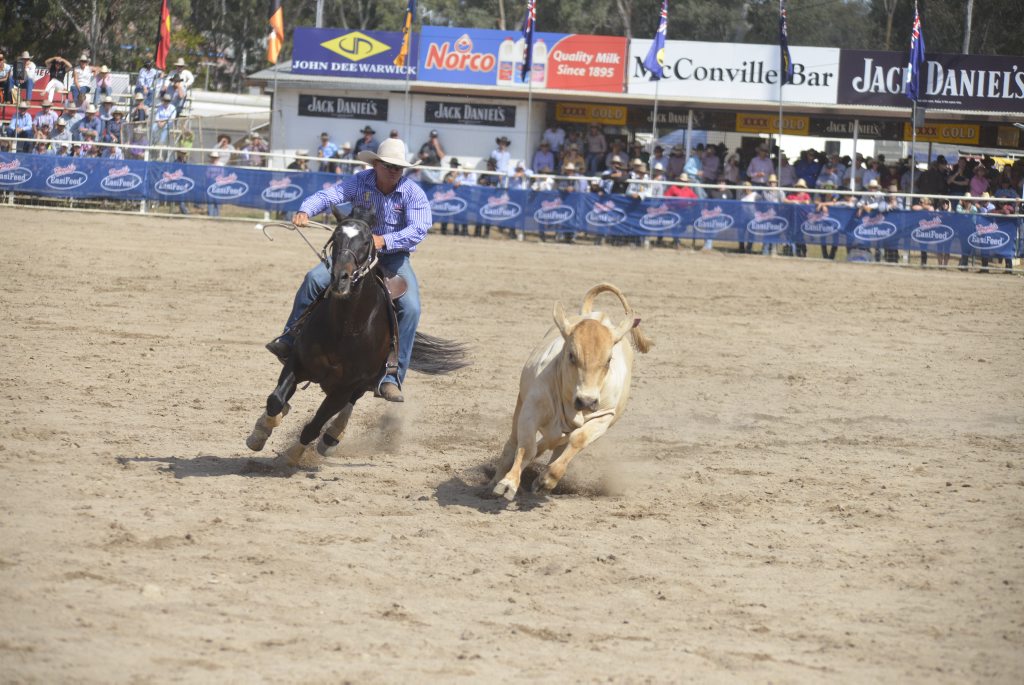 Nebo campdrafter Pete Comiskey and Marnies Destiny scored 88 in the final to win the Black Toyota Canning Downs Campdraft at the Warwick Rodeo with 267.