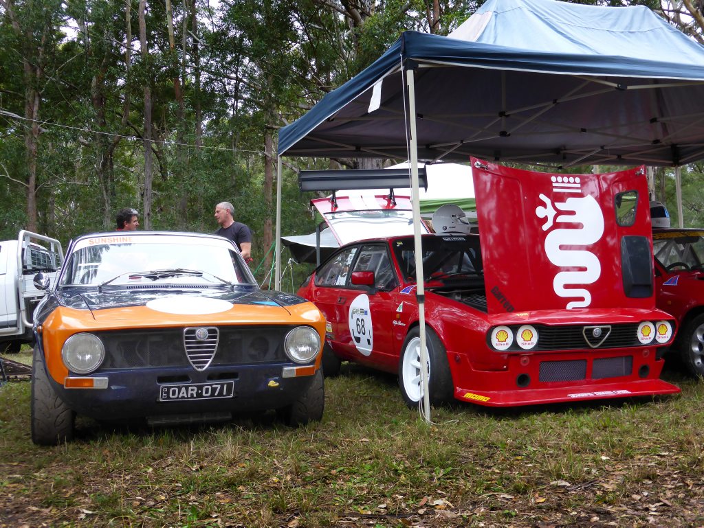 Alfa Romeo racers at the Mid Year Noosa Hill Climb. Photo: Iain Curry Alfa Romeo racers at the Mid Year Noosa Hill Climb. Photo: Iain Curry