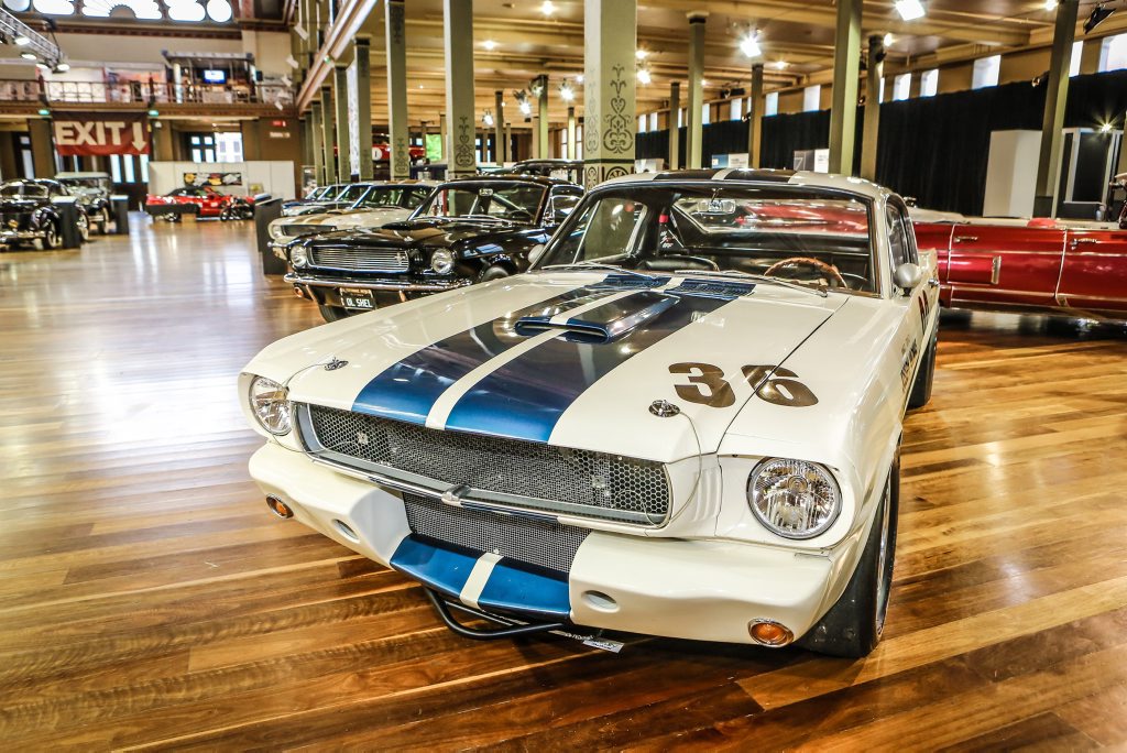 HALF CENTURY: Motorclassica helped celebrate 50 years of the Shelby Mustang. HALF CENTURY: Motorclassica helped celebrate 50 years of the Shelby Mustang.