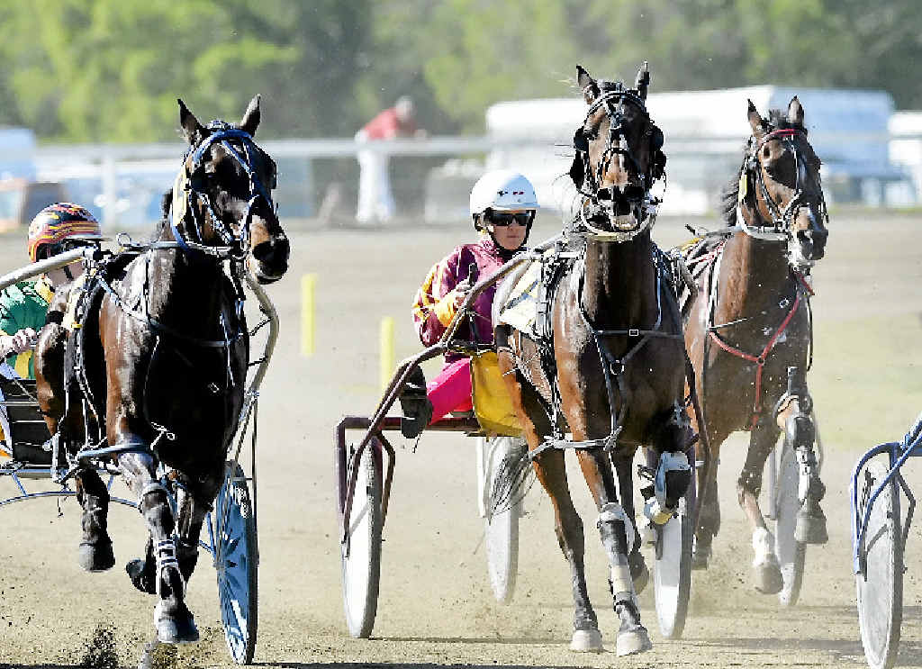 TROTS: The Gympie Turf Club welcomes harness racing back to the track for Melbourne Cup race day on Tuesday. Contributed TROTS: The Gympie Turf Club welcomes harness racing back to the track for Melbourne Cup race day on Tuesday. Contributed
