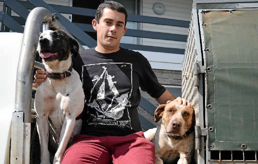 HUNTERS: Tristan Thompson with pig dogs Molly and Izzy. HUNTERS: Tristan Thompson with pig dogs Molly and Izzy.