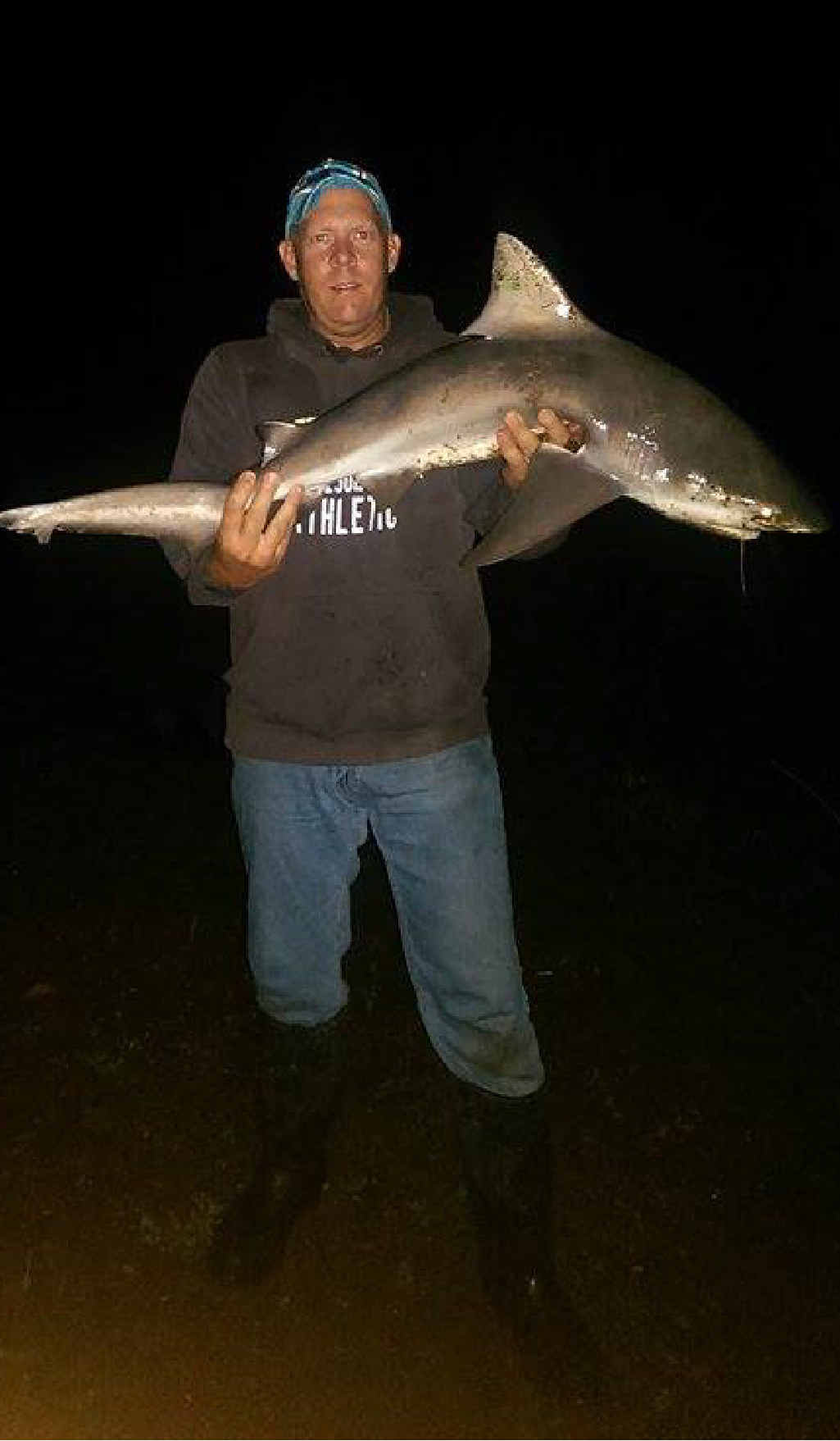 NIGHT STRIKE: Ipswich angler Jason Reeve caught this 1.3m bull shark at Colleges Crossing on Sunday night. Below: Two of his other recent catches. NIGHT STRIKE: Ipswich angler Jason Reeve caught this 1.3m bull shark at Colleges Crossing on Sunday night. Below: Two of his other recent catches.