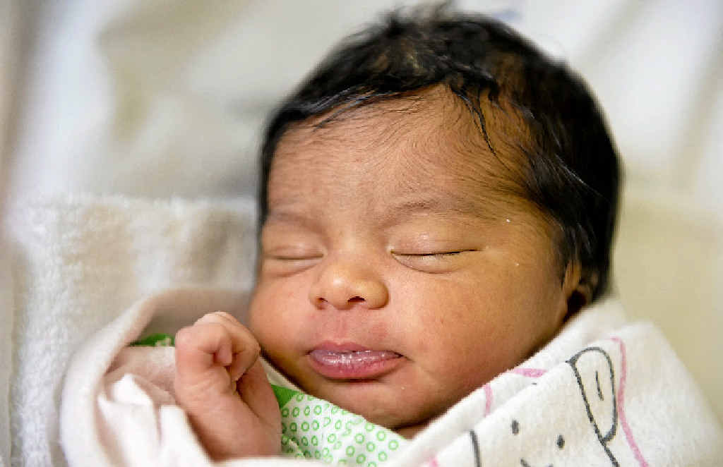 BEAUTIFUL FLOWER: Jitender Gandhi and Anuj Devi have welcomed a baby girl, Ayana Kamboj. Born at Gladstone Hospital, she weighed 2980g. BEAUTIFUL FLOWER: Jitender Gandhi and Anuj Devi have welcomed a baby girl, Ayana Kamboj. Born at Gladstone Hospital, she weighed 2980g.