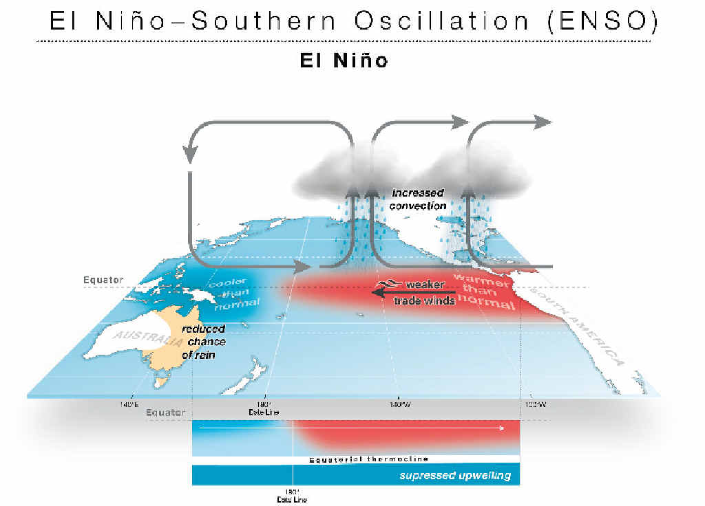 During El Niño, the trade winds weaken and the central and eastern tropical Pacific warms up. During El Niño, the trade winds weaken and the central and eastern tropical Pacific warms up.