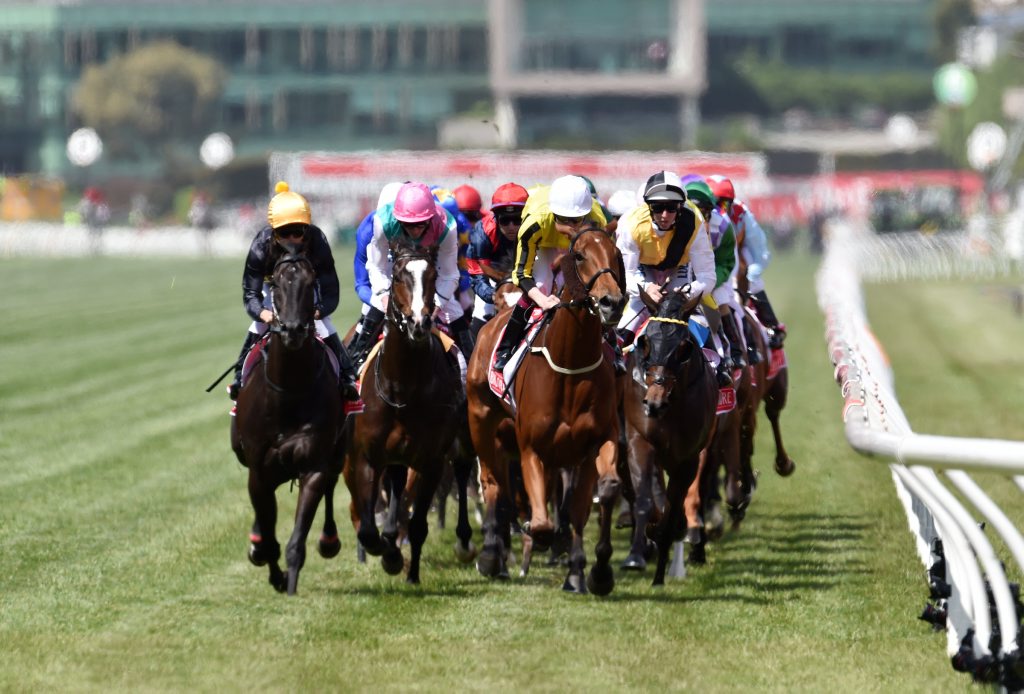 The field in action during the Melbourne Cup at Flemington Racecourse. Photo: AAP Image/Tracey Nearmy. The field in action during the Melbourne Cup at Flemington Racecourse. Photo: AAP Image/Tracey Nearmy.
