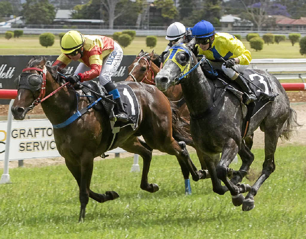 BACK ON FORM: Arabian King (right) beat home Shinji in a Class 3 Handicap on Jacaranda Cup Race Day at Clarence River Jockey Club 12 months ago. PHOTO: ADAM HOURIGAN BACK ON FORM: Arabian King (right) beat home Shinji in a Class 3 Handicap on Jacaranda Cup Race Day at Clarence River Jockey Club 12 months ago. PHOTO: ADAM HOURIGAN