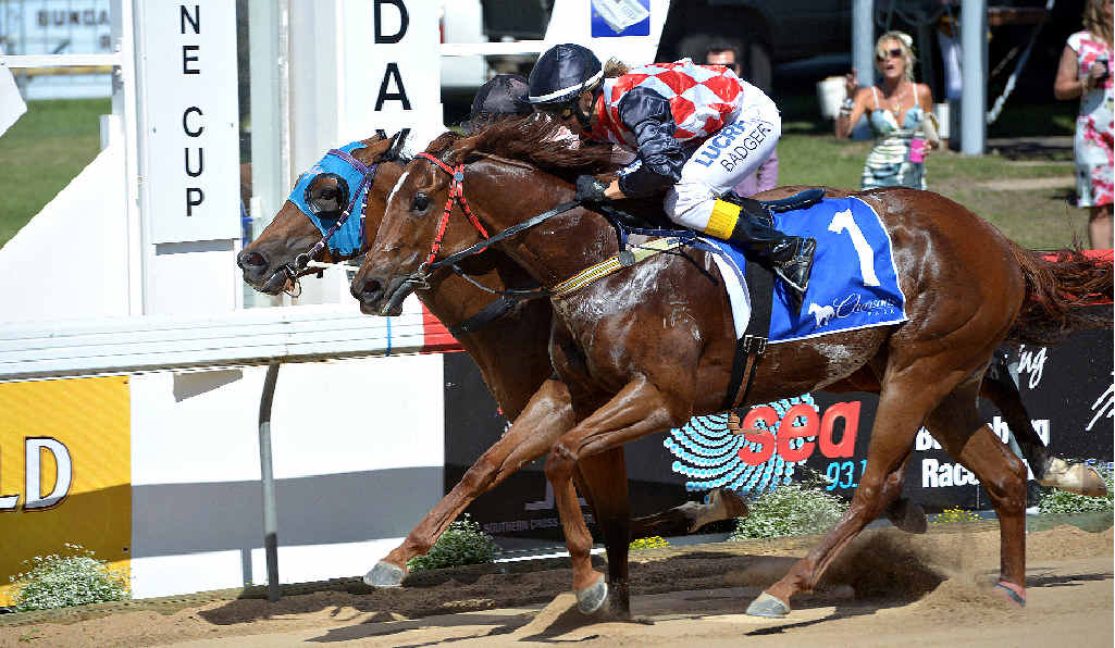 CUP DAY: Kelly Gates on Leaps and Bounds proves too good for Alannah Badger on Tropical Heatwave in the Sea FM Handicap at Thabeban Park during yesterday’s Melbourne Cup race day. CUP DAY: Kelly Gates on Leaps and Bounds proves too good for Alannah Badger on Tropical Heatwave in the Sea FM Handicap at Thabeban Park during yesterday’s Melbourne Cup race day.