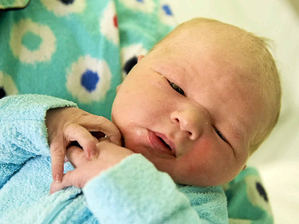 Noah Hindmarsh. Noah Hindmarsh.