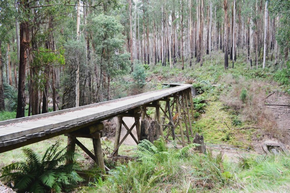 The spectacular Siphon Trestle Bridge, remnant of a bygone era The spectacular Siphon Trestle Bridge, remnant of a bygone era
