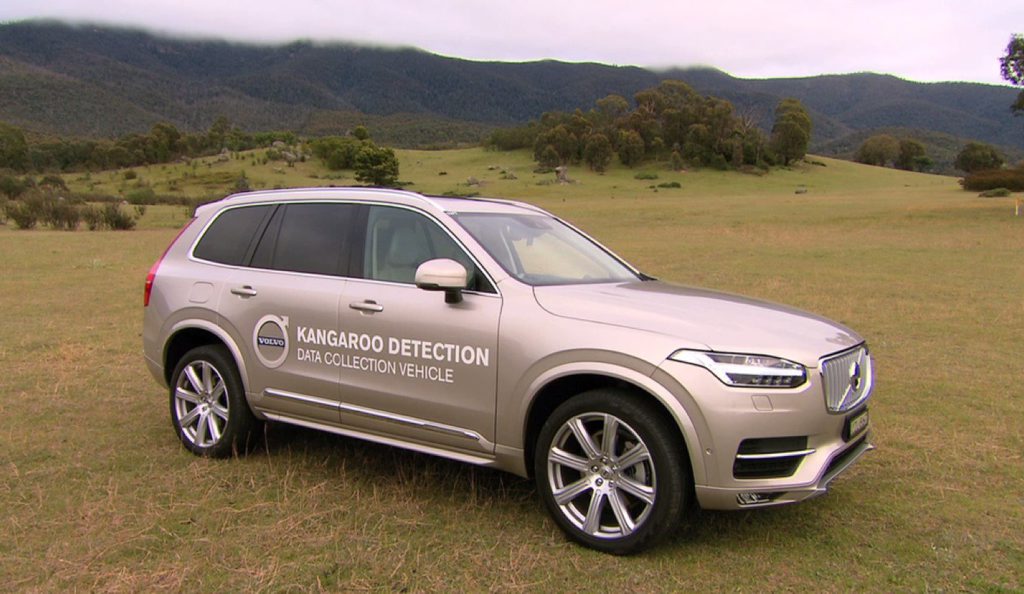 SAFETY FIRST: New XC90 taking part in kangaroo detection tests in the ACT. SAFETY FIRST: New XC90 taking part in kangaroo detection tests in the ACT.