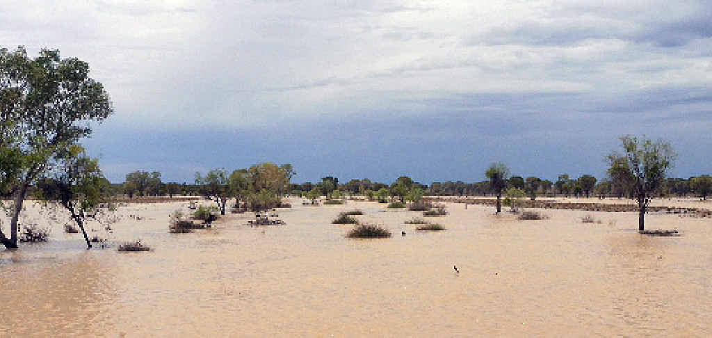 RAIN ON THE PLAIN: Flooded paddocks at David Counsell’s sheep and cattle farm, Dunblane Station, just outside Barcaldine on Sunday. Residents celebrated after storms dumped a record 150mm of rain on the drought-ravaged outback town and its surrounds but Bim Struss (inset) said many CQ graziers still missed out. RAIN ON THE PLAIN: Flooded paddocks at David Counsell’s sheep and cattle farm, Dunblane Station, just outside Barcaldine on Sunday. Residents celebrated after storms dumped a record 150mm of rain on the drought-ravaged outback town and its surrounds but Bim Struss (inset) said many CQ graziers still missed out.