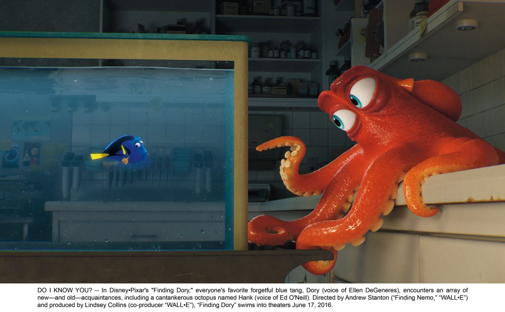 In a scene from the movie Finding Dory, forgetful blue tang Dory (Ellen DeGeneres), encounters a cantankerous octopus named Hank (Ed O'Neill). In a scene from the movie Finding Dory, forgetful blue tang Dory (Ellen DeGeneres), encounters a cantankerous octopus named Hank (Ed O'Neill).