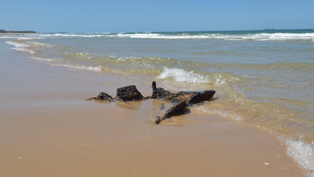 Reappearance of the Dicky shipwreck. It was firsty noticed on Saturday (07/11/15 )by beach goers Photo: Warren Lynam / Sunshine Coast Daily Reappearance of the Dicky shipwreck. It was firsty noticed on Saturday (07/11/15 )by beach goers Photo: Warren Lynam / Sunshine Coast Daily