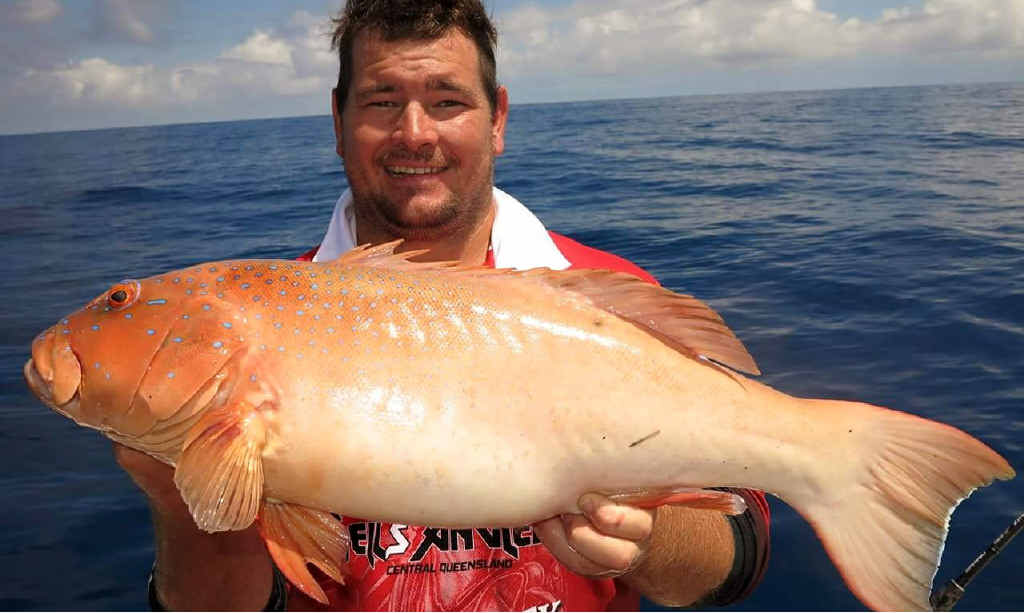REELING THEM IN: Luke Smith, from Hells Anglers Central Queensland, with a quality Coral Trout caught out wide recently. REELING THEM IN: Luke Smith, from Hells Anglers Central Queensland, with a quality Coral Trout caught out wide recently.