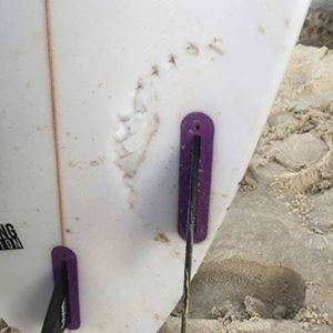Surf Life Saving NSW posted this photo of Sam Morgan's surfboard following the shark attack at Ballina's Lighthouse Beach yesterday. Surf Life Saving NSW posted this photo of Sam Morgan's surfboard following the shark attack at Ballina's Lighthouse Beach yesterday.