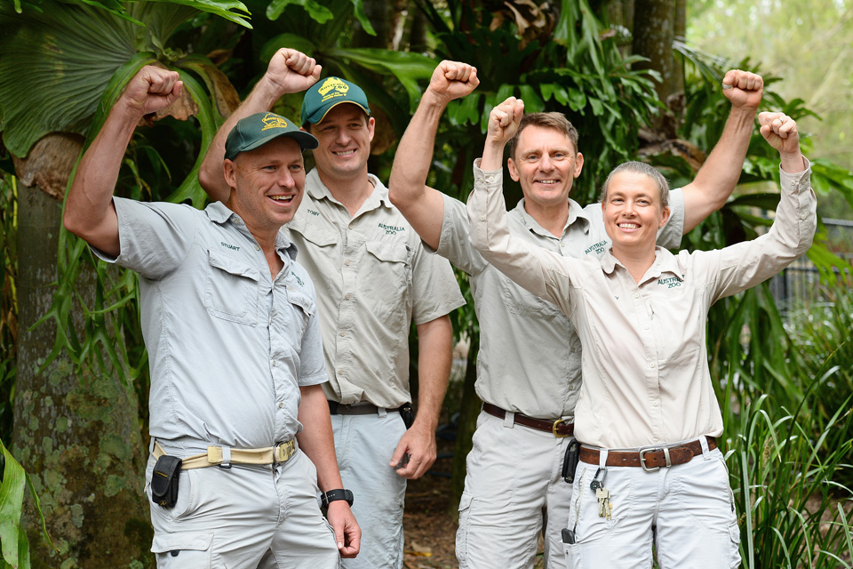 Australia Zoo team gathers to feed croc for Steve Sunshine Coast Daily