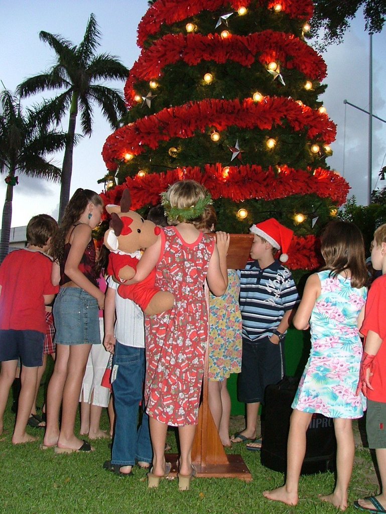 THE COUNTDOWN BEGINS: The Mackay region will come alive over Christmas with events and decorations.