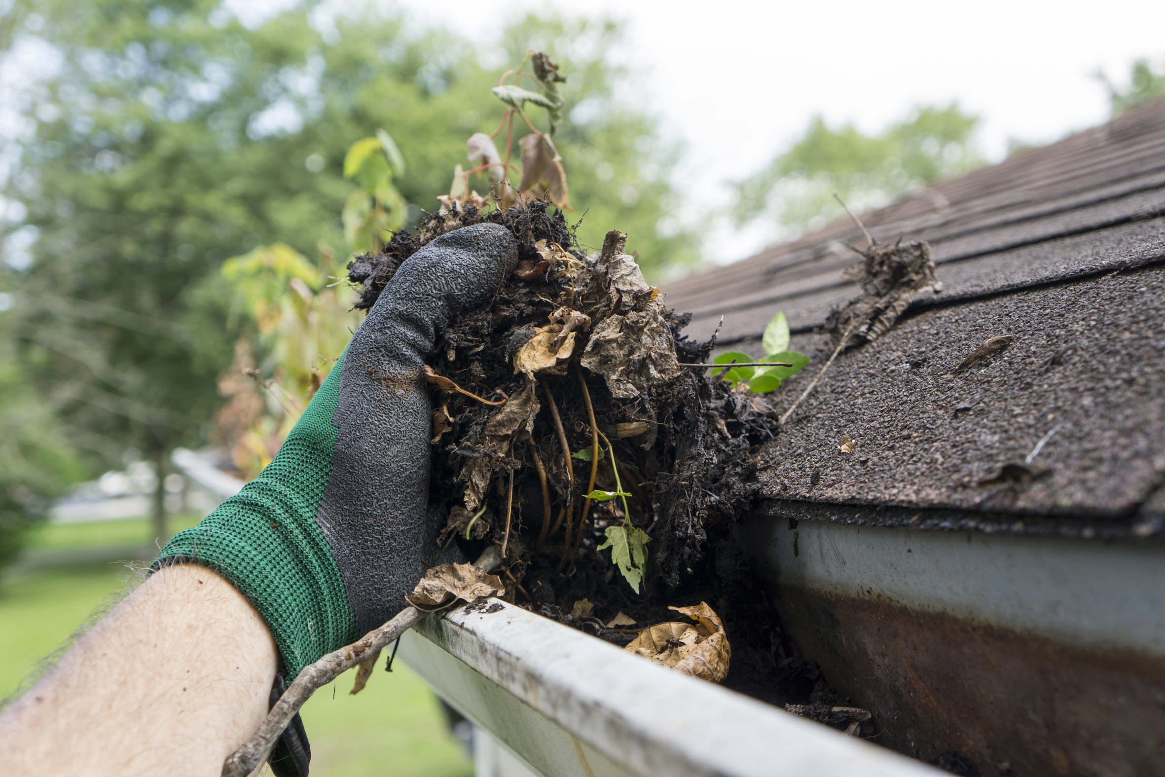 IT’S TIME: Check your roof for loose tiles or uplifted corners of corrugated iron. Check gutters and downpipes and remove debris. IT’S TIME: Check your roof for loose tiles or uplifted corners of corrugated iron. Check gutters and downpipes and remove debris.