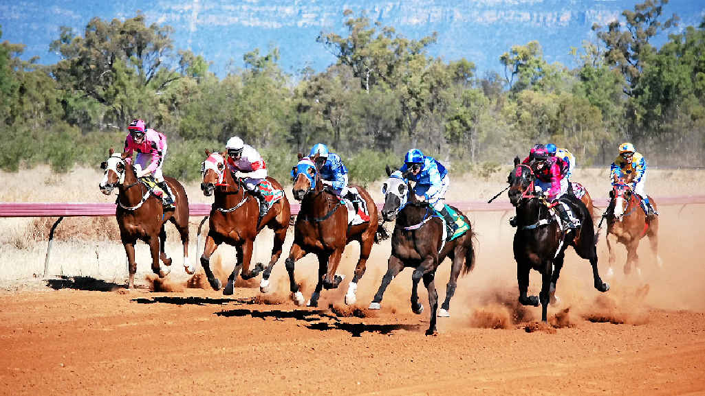 GIDDY UP: Country racing will get underway at Bluff over the weekend with up to $60,000 prize money up for grabs. GIDDY UP: Country racing will get underway at Bluff over the weekend with up to $60,000 prize money up for grabs.