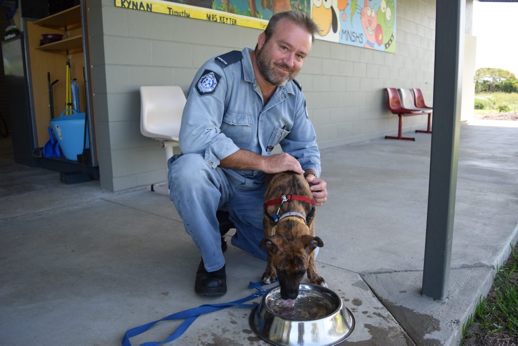 RSPCA Mackay regional inspector David Ferrar talks about heat scare when tying up your pet outside without water. He stands with 4-month old Ridge Back cross Boxer, Badger. RSPCA Mackay regional inspector David Ferrar talks about heat scare when tying up your pet outside without water. He stands with 4-month old Ridge Back cross Boxer, Badger.