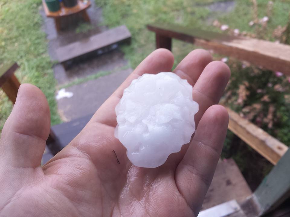 GOLF BALLS: Hail the size of golf and cricket balls has hit Coraki...twice. GOLF BALLS: Hail the size of golf and cricket balls has hit Coraki...twice.