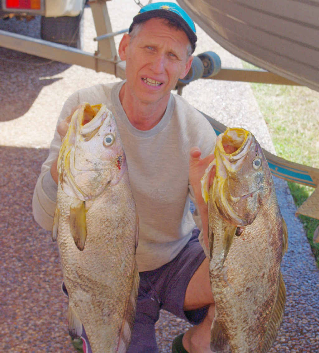 Mike Greinke with two golden jew, about 4kg each. Mike Greinke with two golden jew, about 4kg each.