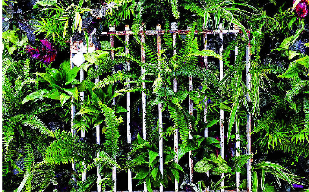 GREEN WALL: Ayden and Jess’s vertical garden from The Block Triple Threat featured an old Melbourne Cricket Ground gate. GREEN WALL: Ayden and Jess’s vertical garden from The Block Triple Threat featured an old Melbourne Cricket Ground gate.
