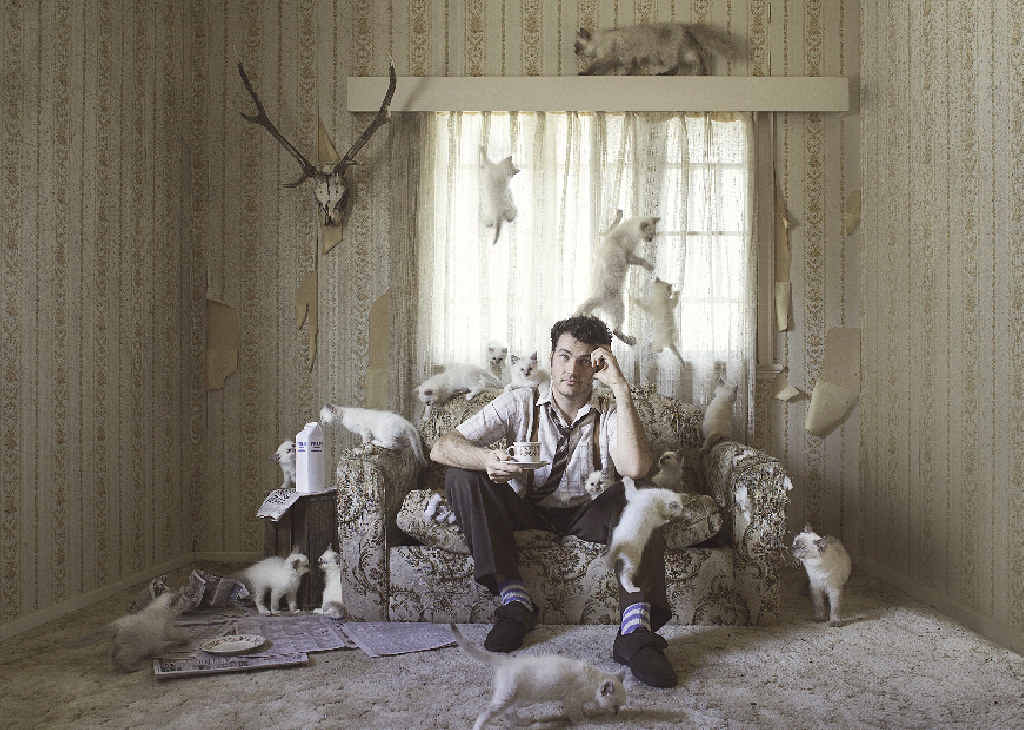 Bambi's award winning Crazy Cat Man. Bambi's award winning Crazy Cat Man.