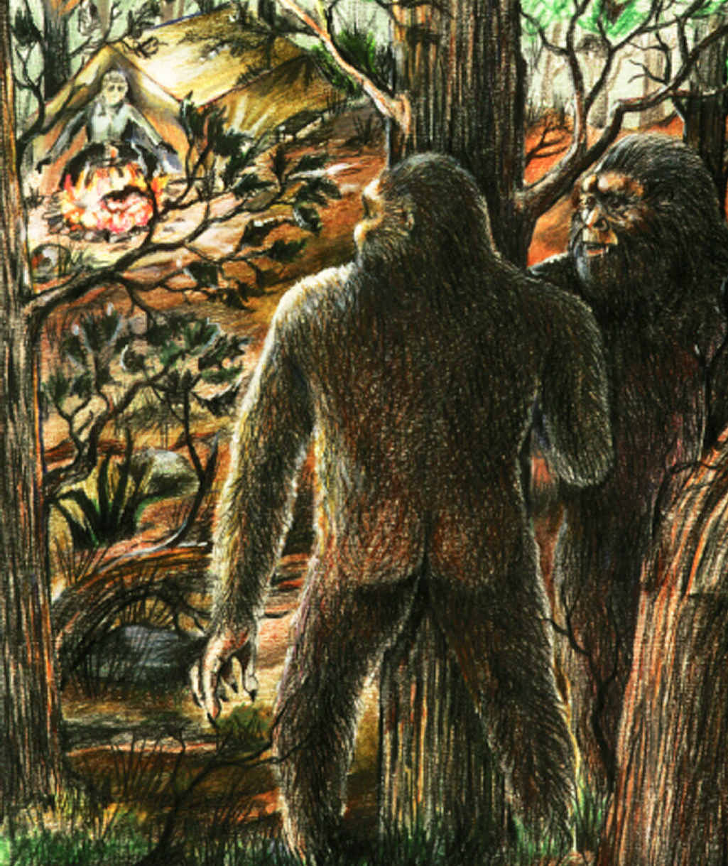 LURKING: These two yowies react to a noise in the undergrowth, perhaps made by Yowie researcher Dean Harrison. Illustration by Bill Rasmussen LURKING: These two yowies react to a noise in the undergrowth, perhaps made by Yowie researcher Dean Harrison. Illustration by Bill Rasmussen