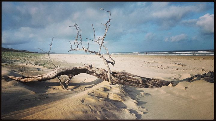Sally Smith - Airforce Beach, Evans Head Sally Smith - Airforce Beach, Evans Head