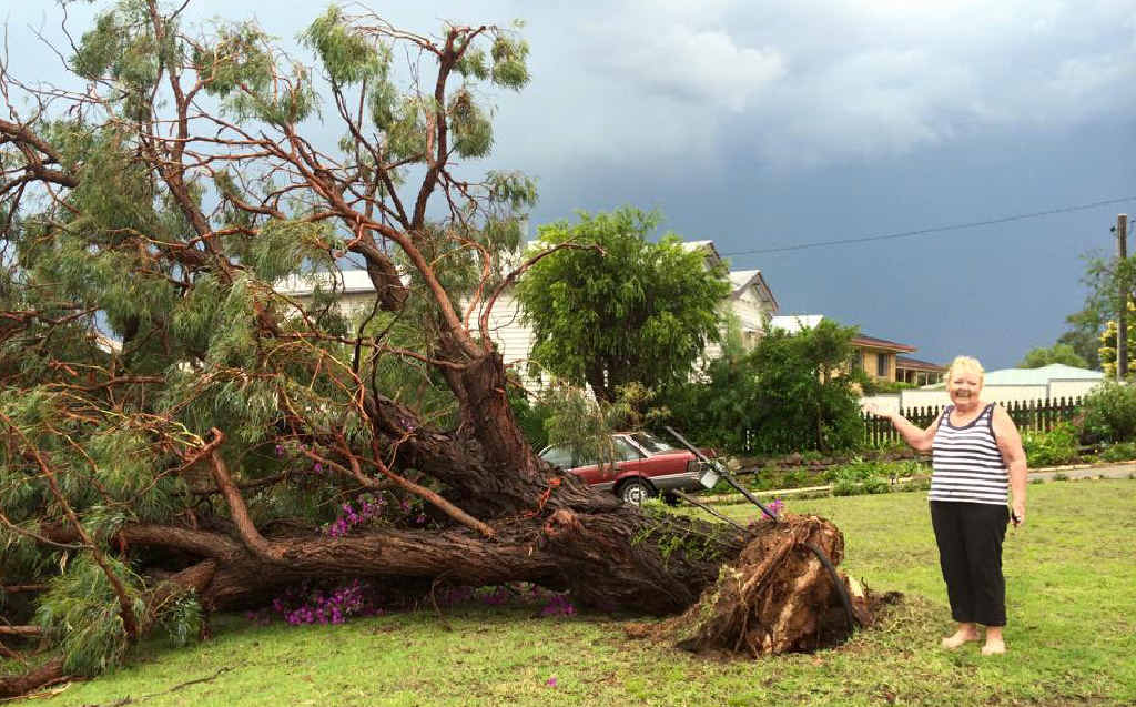 This tree in Jan Fahey’s yard held up to for the 23 years she has lived at the Willi St premises but yesterday’s storm brought it crashing down. Her granddaughter Jess Fahey recorded the damage. This tree in Jan Fahey’s yard held up to for the 23 years she has lived at the Willi St premises but yesterday’s storm brought it crashing down. Her granddaughter Jess Fahey recorded the damage.
