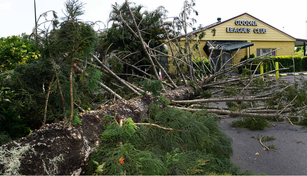 The Goodna Leagues Club was lucky to escape significant damage when this tree fell during Sunday’s storm. The Goodna Leagues Club was lucky to escape significant damage when this tree fell during Sunday’s storm.