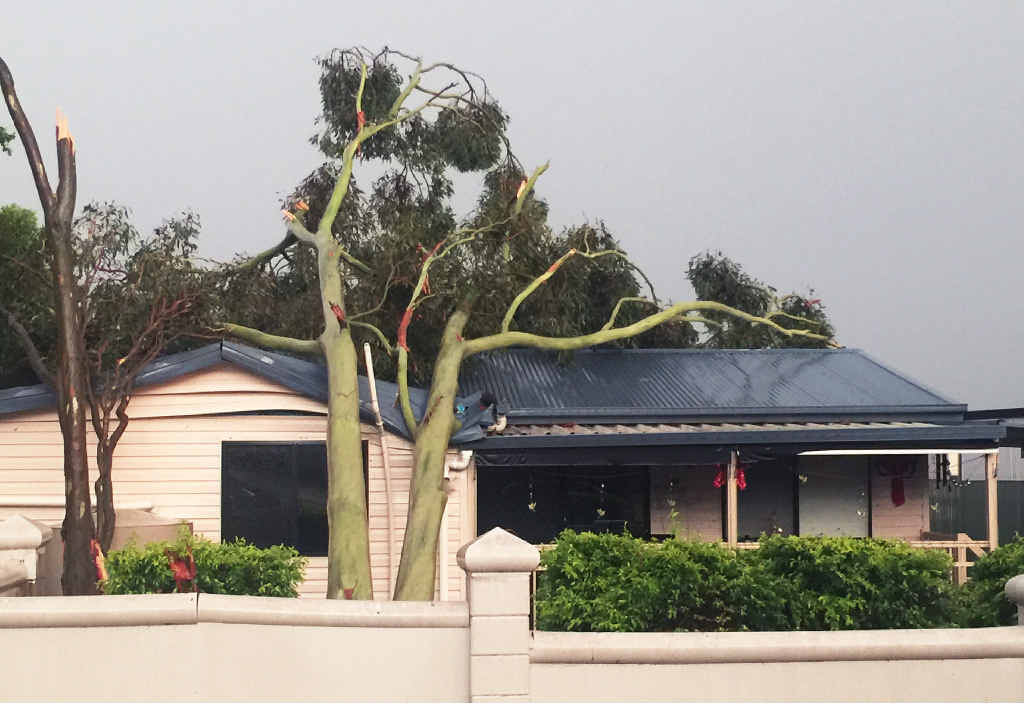 DESTRUCTIVE FORCE: This house on Brisbane Terrace in Goodna was one of several to sustain damage from falling trees on Sunday afternoon. DESTRUCTIVE FORCE: This house on Brisbane Terrace in Goodna was one of several to sustain damage from falling trees on Sunday afternoon.