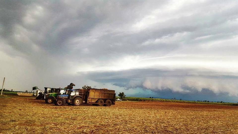 Photos of the Day Kale Biggs - Woodburn cane harvesters Photos of the Day Kale Biggs - Woodburn cane harvesters