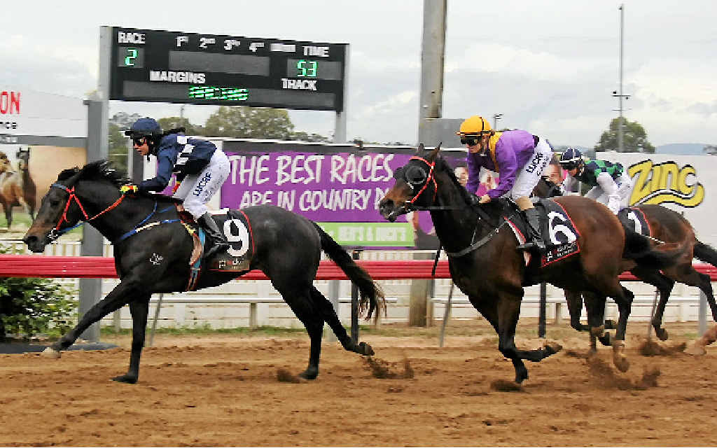 Captain Tango (9) winning at a previous meet, will race in Sunday’s $30,000 Cannonball Series final at Kilcoy. Captain Tango (9) winning at a previous meet, will race in Sunday’s $30,000 Cannonball Series final at Kilcoy.