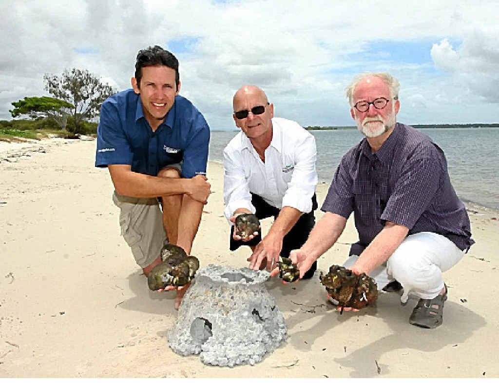 SHELLFISH: Ben Diggles and Rob King with councillor Gary Parsons as they check out an oyster reef unit and shells. SHELLFISH: Ben Diggles and Rob King with councillor Gary Parsons as they check out an oyster reef unit and shells.
