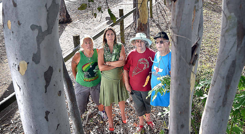 Sara Ashdown stands with resident Avalon Cavendish, Fraser Coast Wildlife Preservation Society president Sara Gerdsen and environmentalist John Parsons to inspect the marked trees. Sara Ashdown stands with resident Avalon Cavendish, Fraser Coast Wildlife Preservation Society president Sara Gerdsen and environmentalist John Parsons to inspect the marked trees.