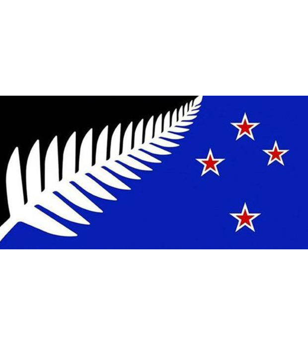 Kyle Lockwood's blue and black silver fern flag has the most preliminary votes in the flag referendum. Kyle Lockwood's blue and black silver fern flag has the most preliminary votes in the flag referendum.